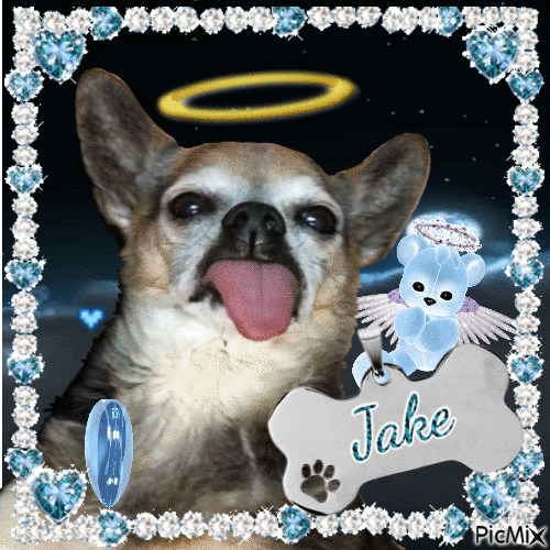 Jake the dog